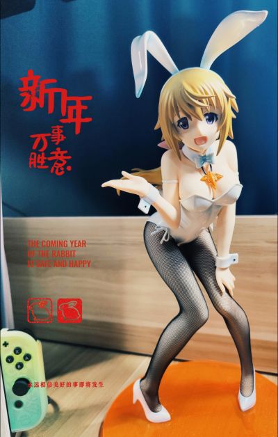 B-style IS〈无限斯特拉托斯〉 夏洛特・迪诺亚 兔女郎