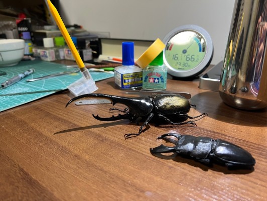 一番赏昆虫 世界昆虫博物馆 D奖 利奇长戟大兜虫（红眼）