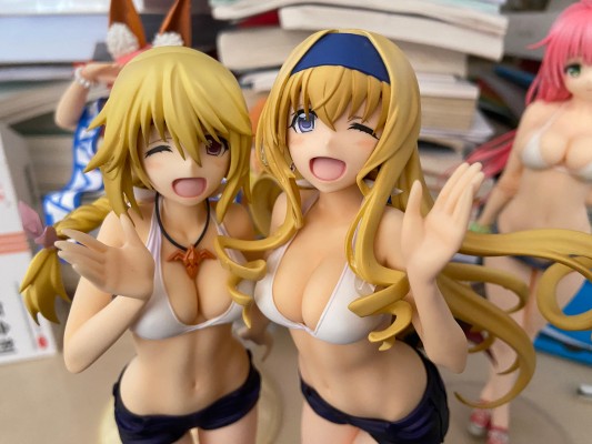 IS〈无限斯特拉托斯〉  夏洛特＆塞西莉娅 泳装