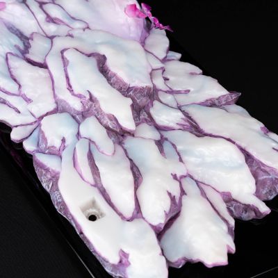 IKIGAI  圣斗士星矢 α星ドゥベの齐格フリート Ultimate Edition