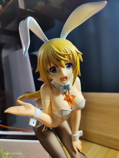 B-style IS〈无限斯特拉托斯〉 夏洛特・迪诺亚 兔女郎