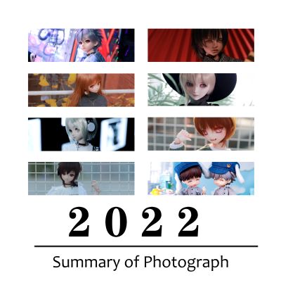 Dollfie Dream Sister DDS 偶像大师 菊地真