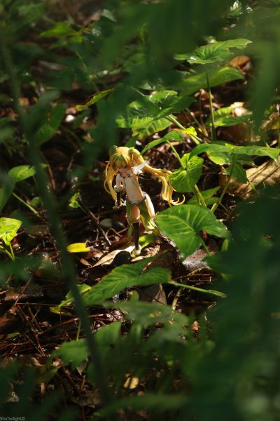 精灵村 第2村民 希卡 WF2020冬限定版