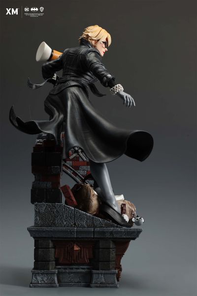 蝙蝠侠：白骑士 哈莉·奎恩 潜入版