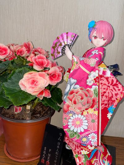 Re：从零开始的异世界生活 拉姆 -日本人偶-