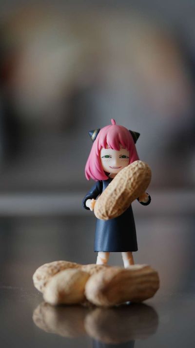 S.H.Figuarts  阿尼亚·福杰 -校服版本-