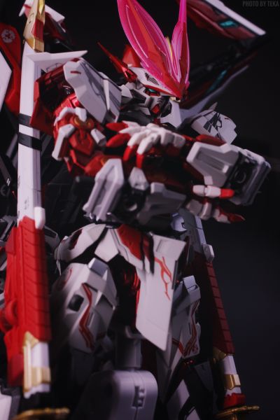 METAL BUILD 机动战士高达SEED ASTRAY R 异端高达 红龙头 配件套装
