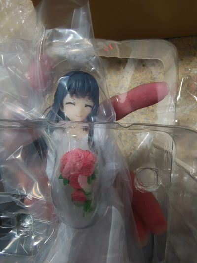 Coreful  青春猪头少年不会梦到怀梦美少女 牧之原翔子