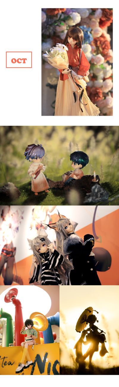 Dollfie Dream Sister DDS 偶像大师 菊地真