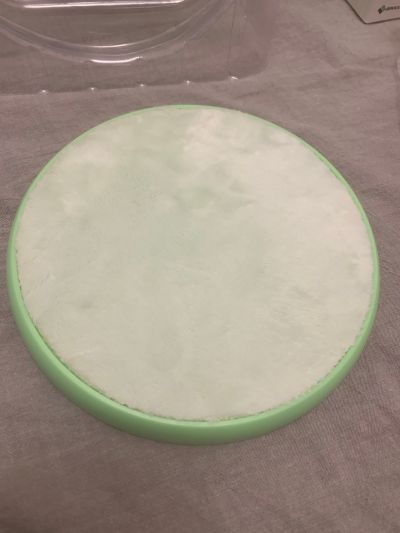 超次元游戏海王星 贝露 起床