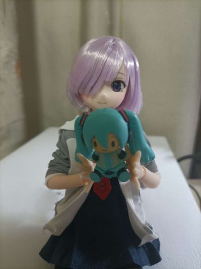 PureNeemo角色系列 No.141  命运-冠位指定 玛修·基列莱特