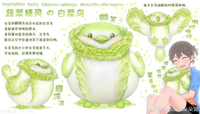 蔬菜精灵 白菜鸟