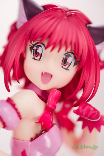 新东京猫猫 小莓猫猫