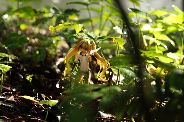 精灵村 第2村民 希卡 WF2020冬限定版