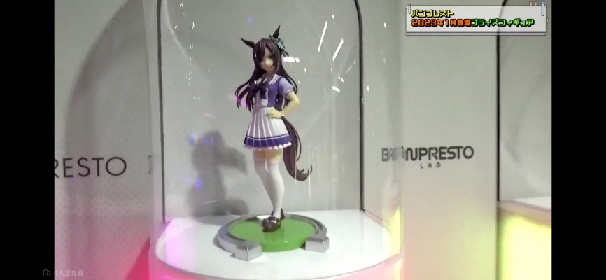 赛马娘 目白杜宾