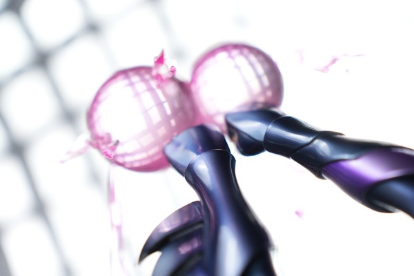 IKIGAI  圣斗士星矢 α星ドゥベの齐格フリート Ultimate Edition