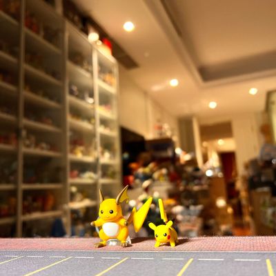 宝可梦比例世界 关都地区3