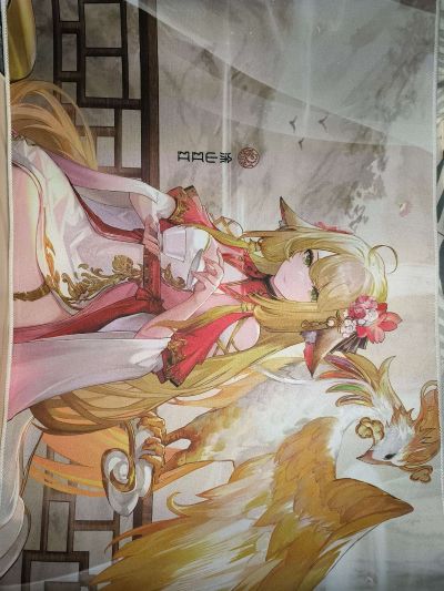 狐妖小红娘 涂山红红 金羽华裳