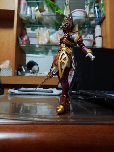 S.H.Figuarts  假面骑士佩剑 昆虫大百科