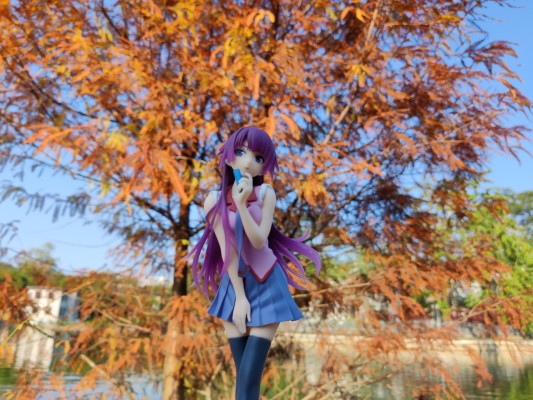 Coreful  续·终物語 战场原黑仪（TAITO限定）