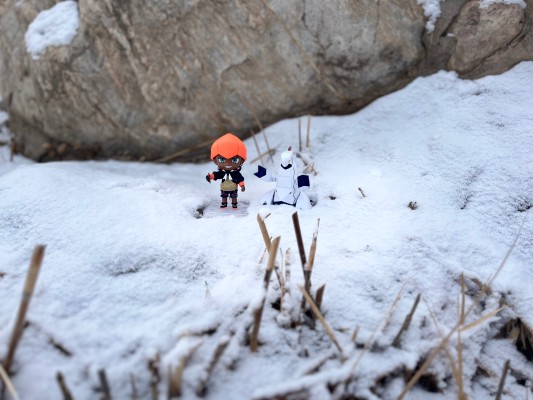 粘土人#1647 精灵宝可梦 剑/盾 奇巴纳