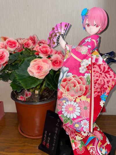 Re：从零开始的异世界生活 拉姆 -日本人偶-