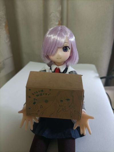 PureNeemo角色系列 No.141  命运-冠位指定 玛修·基列莱特