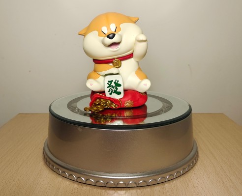 阿柴枸杞 快餐款