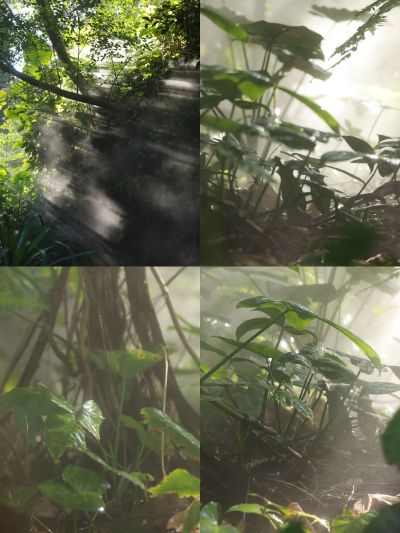 精灵村 第2村民 希卡 WF2020冬限定版