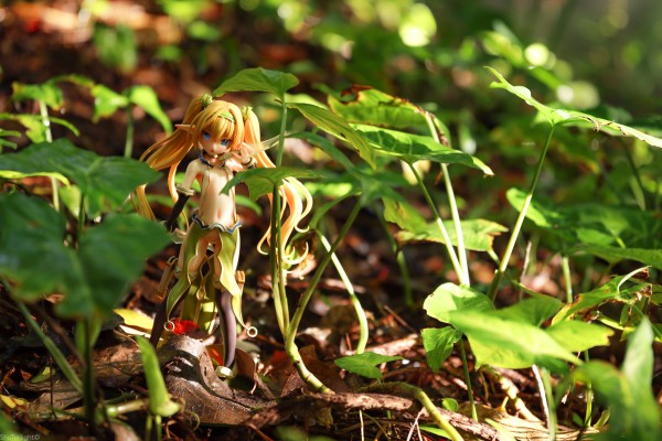 精灵村 第2村民 希卡 WF2020冬限定版