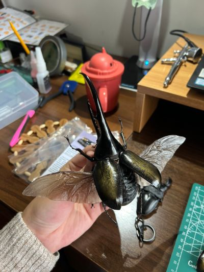 一番赏昆虫 世界昆虫博物馆 C奖 长戟大兜虫