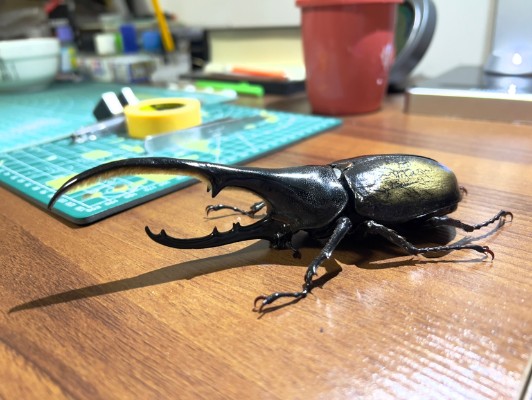 一番赏昆虫 世界昆虫博物馆 C奖 长戟大兜虫