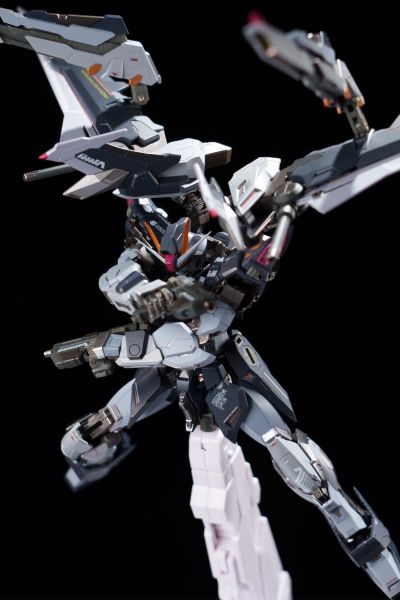 METAL BUILD 机动战士高达SEED MSV I.W.S.P.