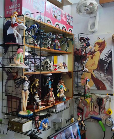 一个老阿宅的6平米间