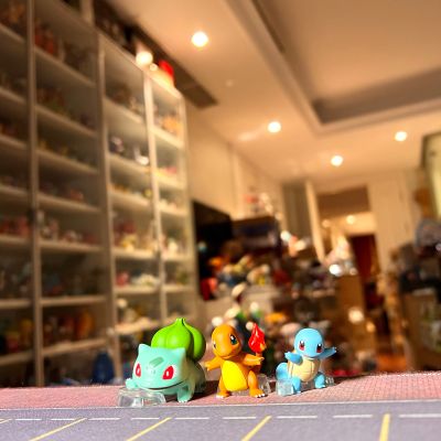 宝可梦比例世界 关都地区3