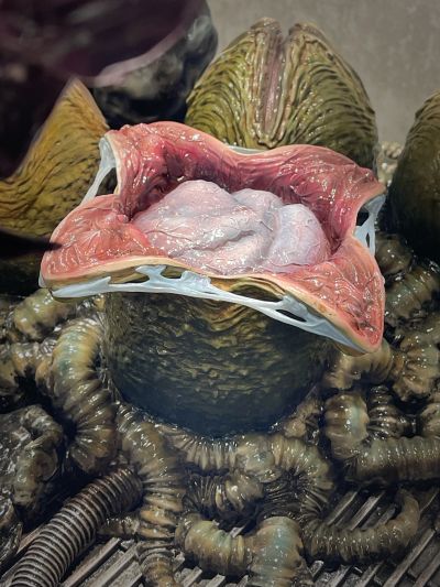 PMDHAL-04 异形 人造异形王