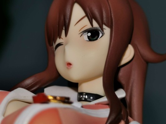 Excellent Model 超速变形螺旋杰特 赤名累