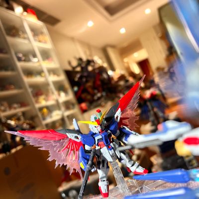 机动战士高达 重装×重奏  命运与自由 光之翼套装