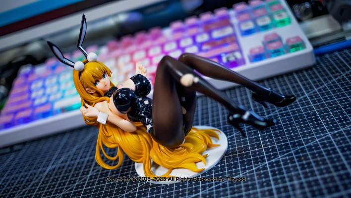 B-Style 碧蓝航线 北卡罗来纳 兔女郎