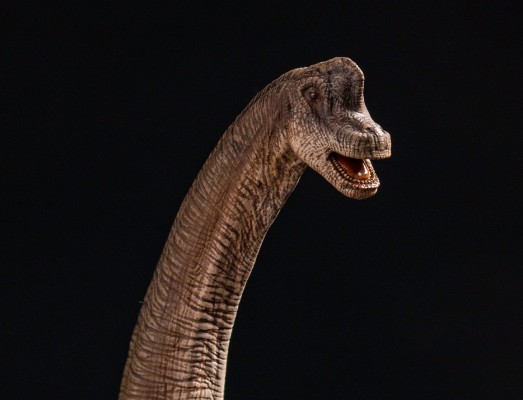 腕龙（长颈巨龙）