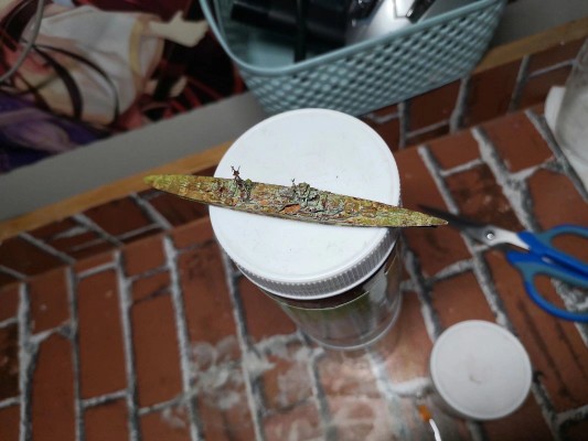 31615 1/700 水线系列 英国皇家海军 战列舰 威尔士亲王 马来海战