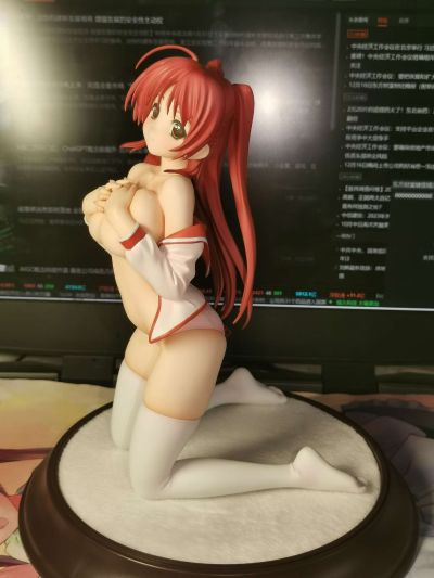 ToHeart2 向坂環 1/6