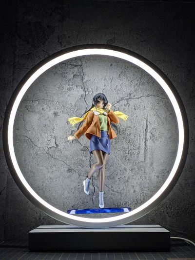 Coreful 青春猪头少年不会梦到怀梦美少女 樱岛麻衣 ～冬装～