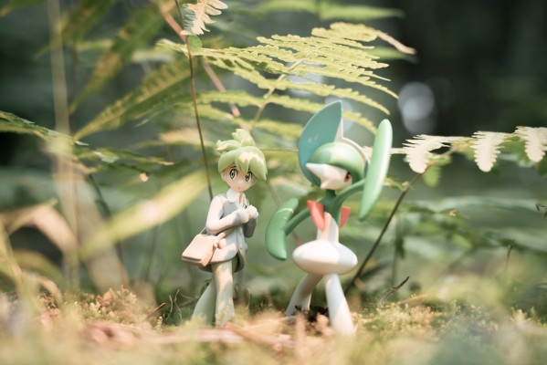 宝可梦比例世界 丰缘地区 满充+艾路雷朵