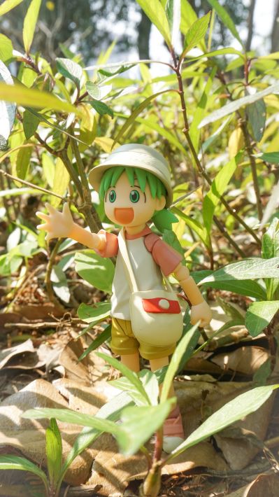 四叶立体化作战！ REVOLTECH 小岩井四叶