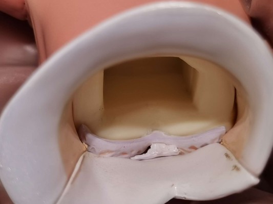 Excellent Model 超速变形螺旋杰特 赤名累