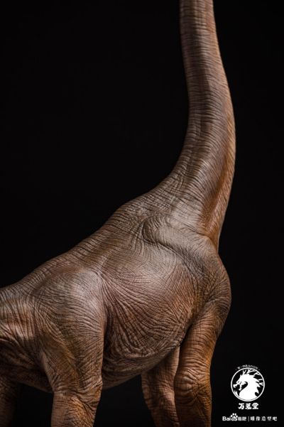 腕龙（长颈巨龙）