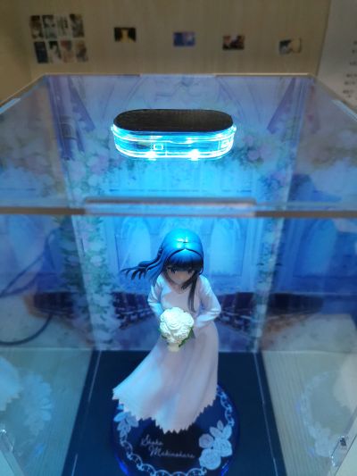 Coreful  青春猪头少年不会梦到怀梦美少女 牧之原翔子