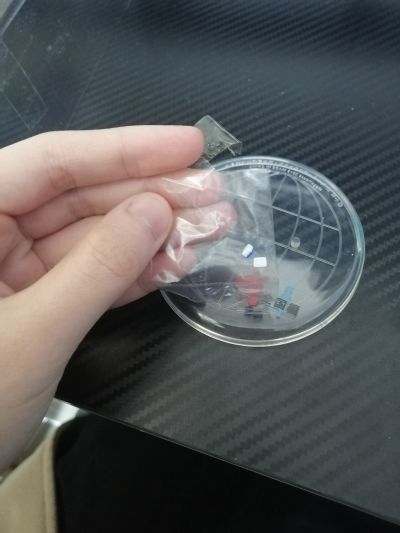 世界制服作戦 咲-saki-全国編 竹井久