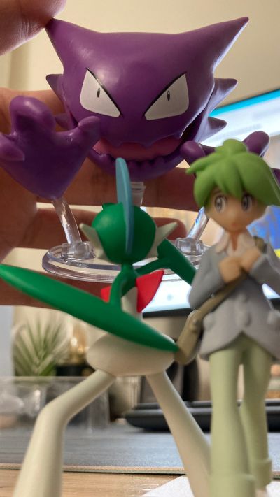 宝可梦比例世界 丰缘地区 满充+艾路雷朵